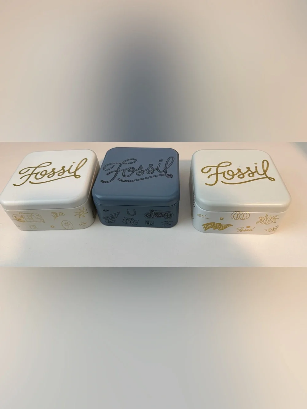 Fossil Trinket Tins ( 3 tins)